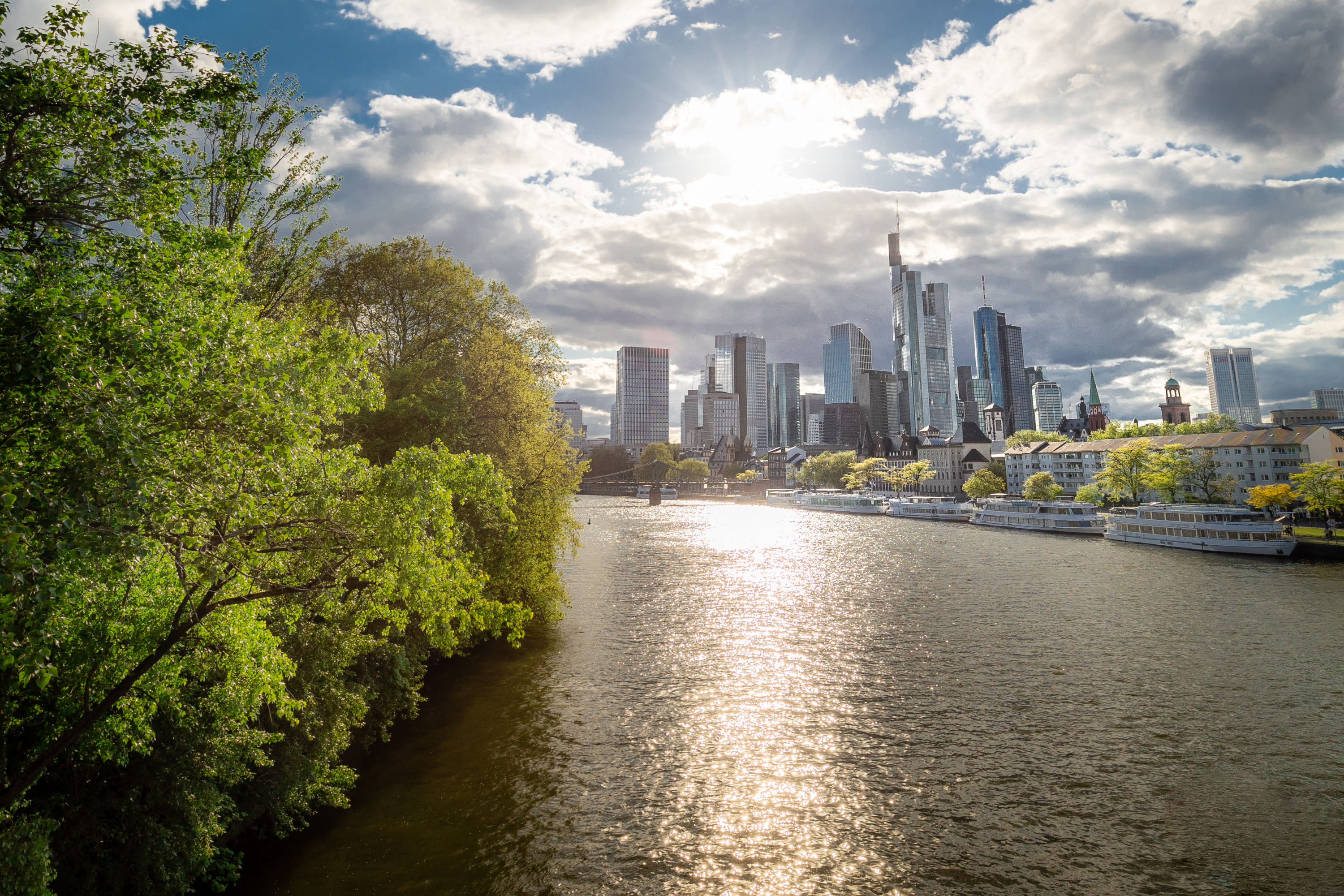 Skyline von Frankfurt am Main mit Bäumen im Vordergrund